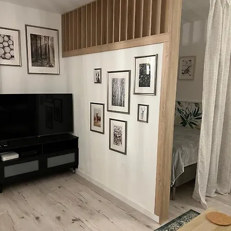 Brzozowa Apartment *