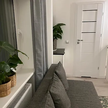 Brzozowa * 슈체친