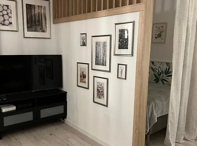 Brzozowa Appartement *